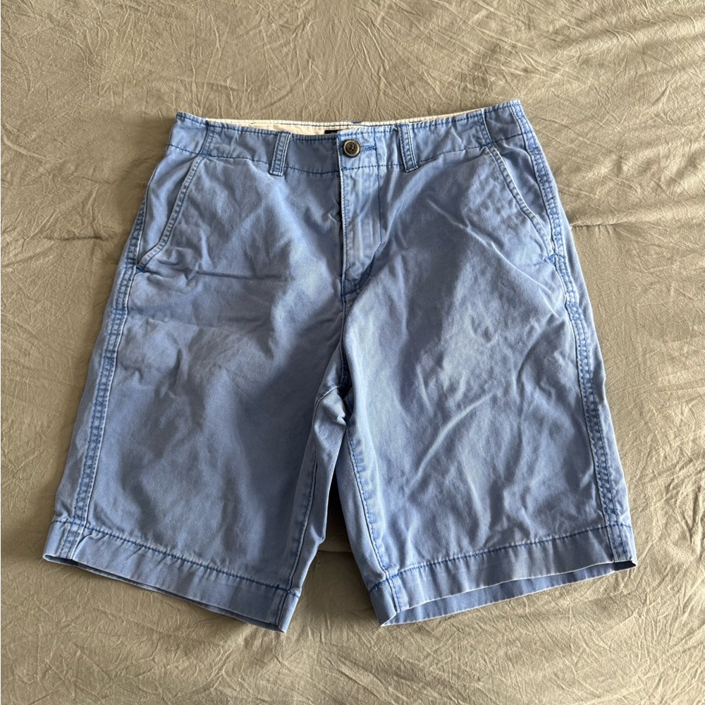 American Eagle Outfitters Blue Flat Front Shorts